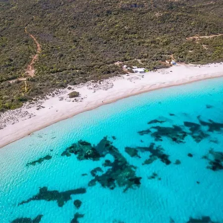 Casa Sofia - Costa Smeralda Lägenhet Cugnana Verde