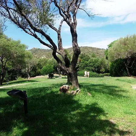 Casa Sofia - Costa Smeralda * Cugnana Verde