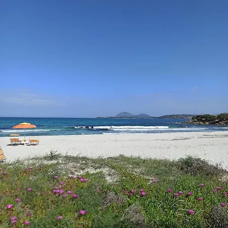 Apartment Casa Sofia - Costa Smeralda Cugnana Verde